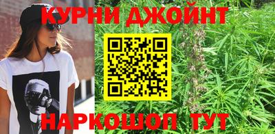 прущие крисы Сланцы
