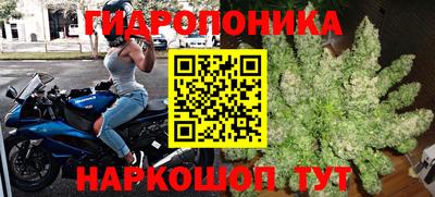 прущие крисы Сланцы
