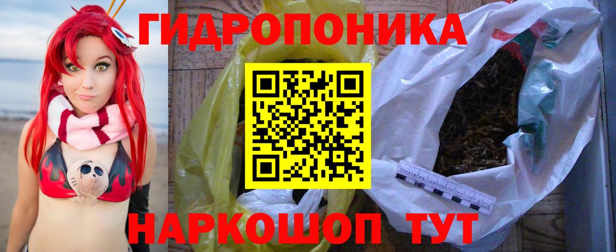 Новочеркасск  Бошки марихуана марихуана  Вход с VPN  Шишки марихуана планчик 